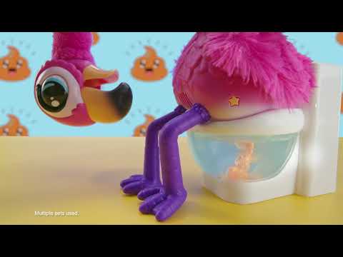لعبة التفاعلية بشكل سلحفاة من ليتل لايف بتس video