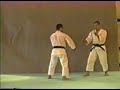 Shorinji Kempo Waza KIRI KAESHI MAKI TEMBIN