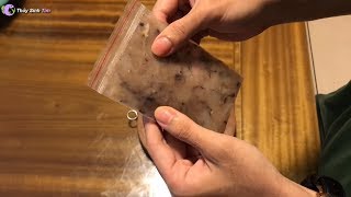 Hướng dẫn tự làm thức ăn cho cá tại nhà cực kỳ đơn giản và bổ dưỡng