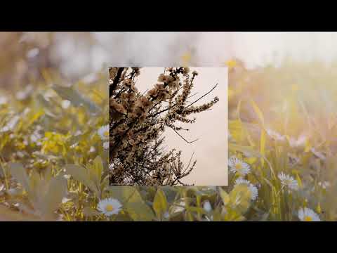 Akimov Bohdan   春が来た