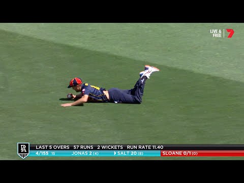 Carey's diving catch dismisses Salt