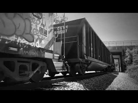 "Big Country Blues" - Townes van Zandt cover - Roman Turovsky (voice & guitar)