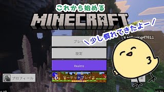 【作業】トラップタワー作るための整地【マイクラ】