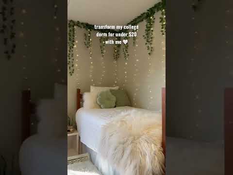 decorating my college dorm room for under $20 | 2023