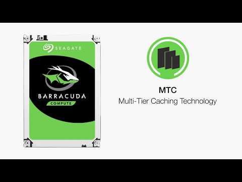 SEAGATE Desktop Barracuda 5400 4TB HDD 5400rpm SATA serial ATA 6Gb/s NCQ 256MB talpykla 8,9cm 3,5col. BLK video