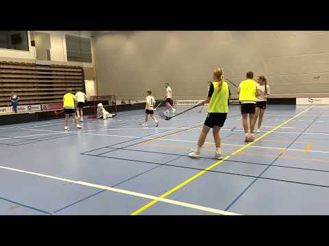 Höstlovs Innebandy i Arena Åstorp