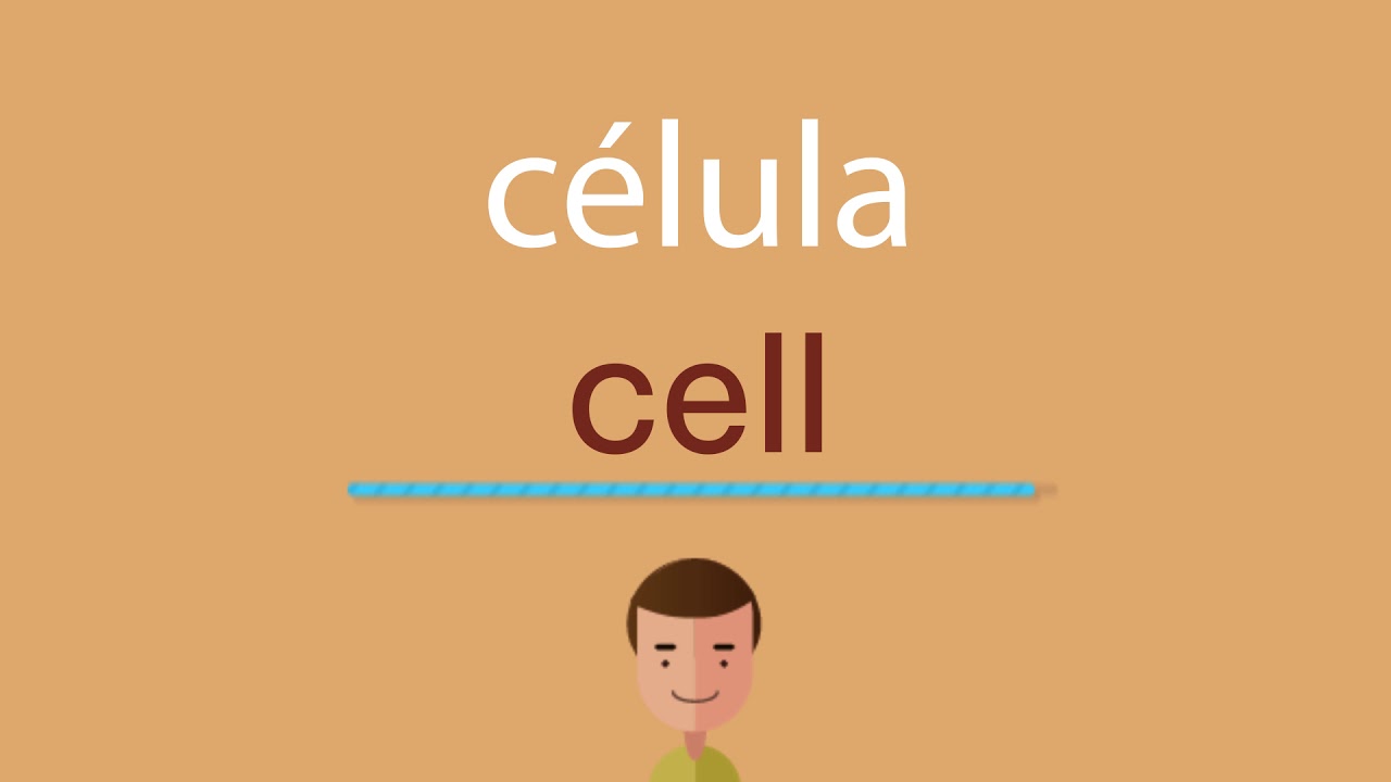 Cómo se dice célula en inglés