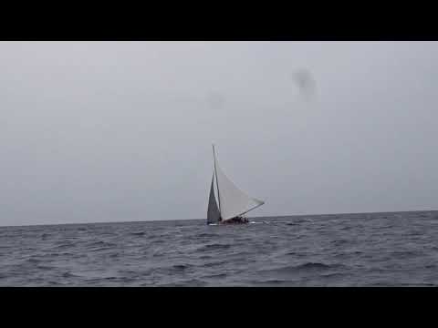 August tuesday boat race 2020