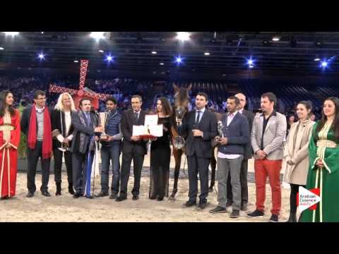 3rd place-N.90 GALLARDO J - Paris 2015 - Junior Colts Championship (Class CM11)