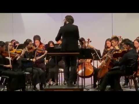 The Elements - Richard Meyer