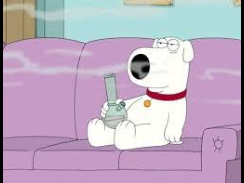 When Brian Griffin Met "Shiva Style" Remix [OUT NOW]