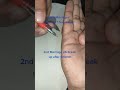 Three Marriage Lines Two Separation 0ne Successful Palmistry 86 Astrology Life Marriage Divorce