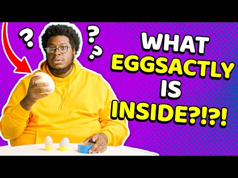 Witness21 Editor  2023 02 03