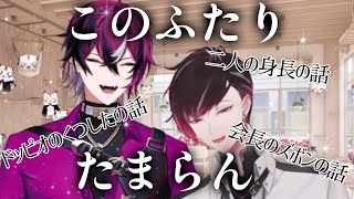 【初オフコラボ！】どんな話題でも何だか面白くなってしまうふたり【NIJISANJI EN￤XSOLEIL￤Ver Vermillion￤Doppio Dropscythe￤切り抜き動画】
