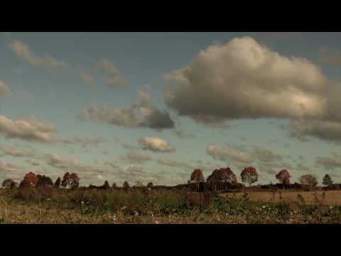 Libe-lid - Ola Bilińska i Libelid