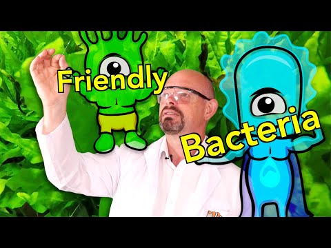 Fishkeeper Fry 2025 - Episode 2