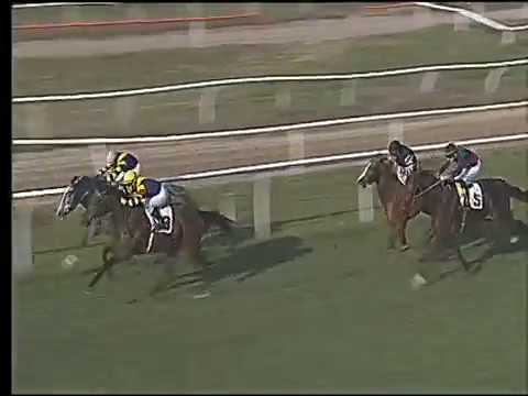 Galoppo 21/02/2017 - 1ª corsa