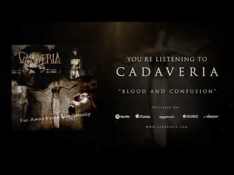 Blood And Confusion video thumbnail
