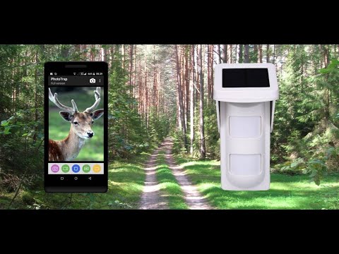 PhotoTrap Trail Camera Video