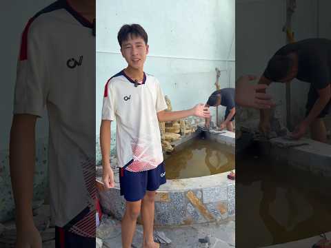 Hồ cá của anh hai/kỳ kỳ tv & Family #shortvideo