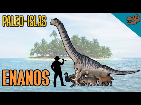 Paleo-islas: ENANOS (enanismo insular en el registro fósil)