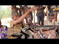 SHOCKING!! MAN NARRATES HOW HIS FATHER K!||£D A MYSTERIOUS SNAKE WITH HUMAN HEAD ( ODE APERIN)