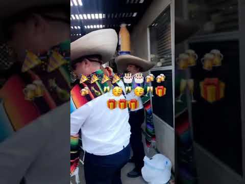 Promotional video thumbnail 4 for Mariachi Trio El Mexicano