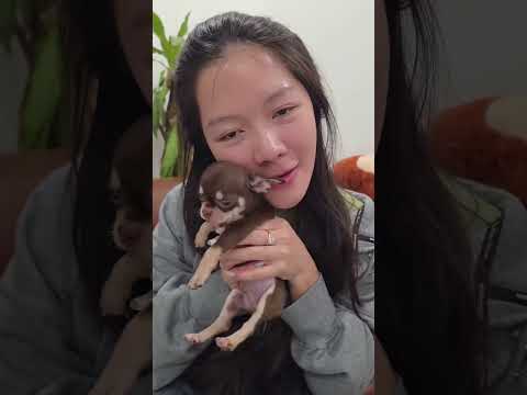 Mới đi Hàn có 10 ngày mà Milo đã biết quá nhiều thứ... #ongthibalong