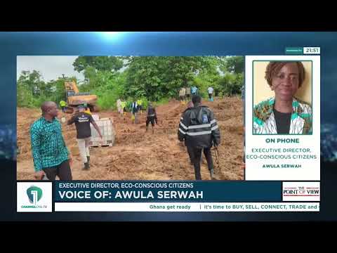 Awula Serwah Calls on Sammy Gyamfi to Retract Mining Remarks