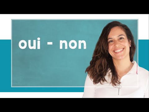 lingoni FRENCH (26) - Oui / Non - A2