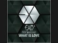 [ACAPELLA+DL] EXO-K (엑소케이) - What is Love 