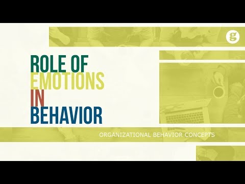 What is Organizational Behavior