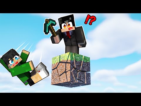 Minecraft But We're on ONE REALISTIC BLOCK