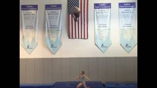 faze tari faza gimnasti