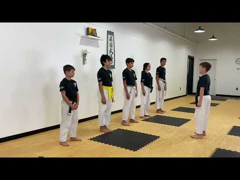 Inside Out Middle Area Block - Seiken Chudan Uchi Uke