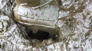 Dunlop Thermo Plus Rubberboots in manure