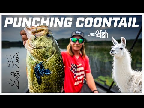 Feiders's Tips for Punching Heavy Hard-Stemmed Grass