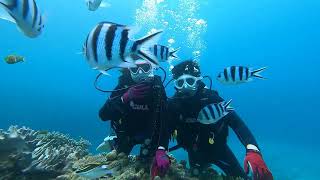 TEERA SCUBA VENTURES, OKINAWA（ティーラ　スクーバ　ヴェンチャーズ）