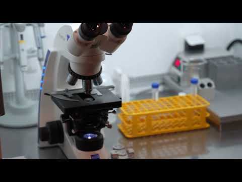 Dr.HİT' in Kliniğine Hoşgeldiniz...