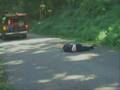 Bam Margera? Broke his neck? 