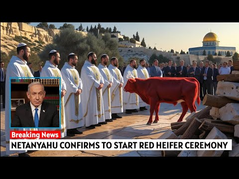 Third Temple Update: Perfect Red Heifer Approved, First Stone to Be Laid Soon