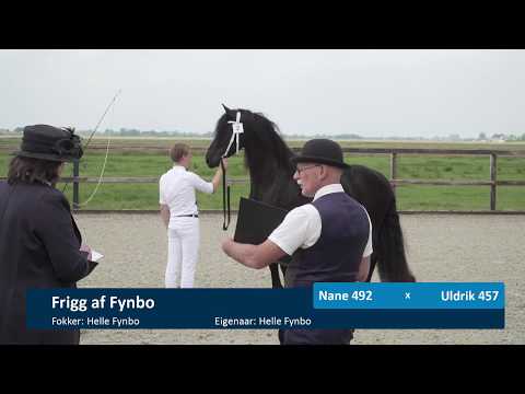 Locatiekeuring Stal Henswoude 13 – 6 –  2020