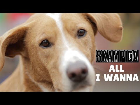 Skampida - All I Wanna