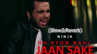 Oh Kyu Ni Jaan Ske || Slow Reverb Music || Ninja 💔 || Sad Music