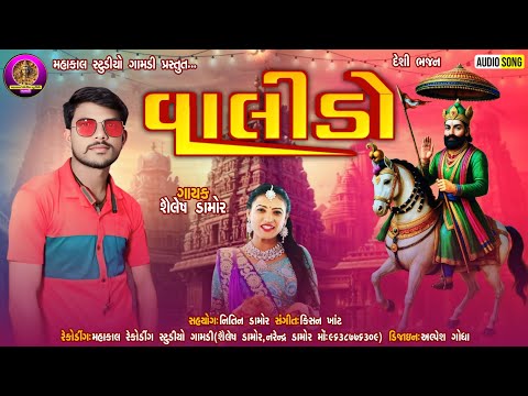 Shailesh Damor Bhajan||Valido ||શૈલેષ ડામોર દેશી ભજન||વાલીડો शैलेश डामोर भजन देसी||देसी भजन