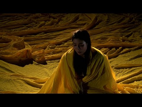 Vom Studium ins Studio