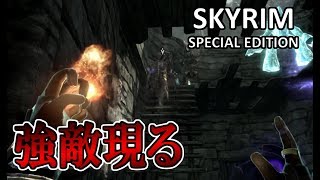 #102【ネクロマンサー】Skyrim ＳＥ スカイリムスペシャルエディション実況【PS4】