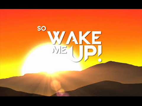 Avicii & Aloe Blacc - Wake me up (Steven Redant Remix)