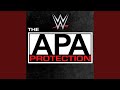 WWE Protection The Apa