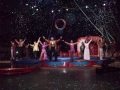 Ringling Brothers And Barnum Bailey Presents Boom A Ring